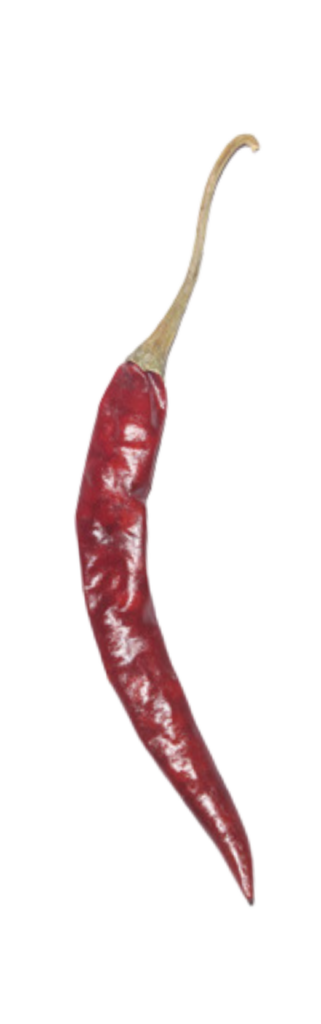 S17 TEJA DRY CHILLI