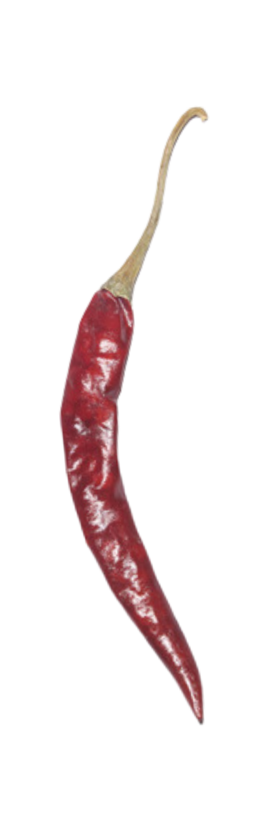 S17 TEJA DRY CHILLI
