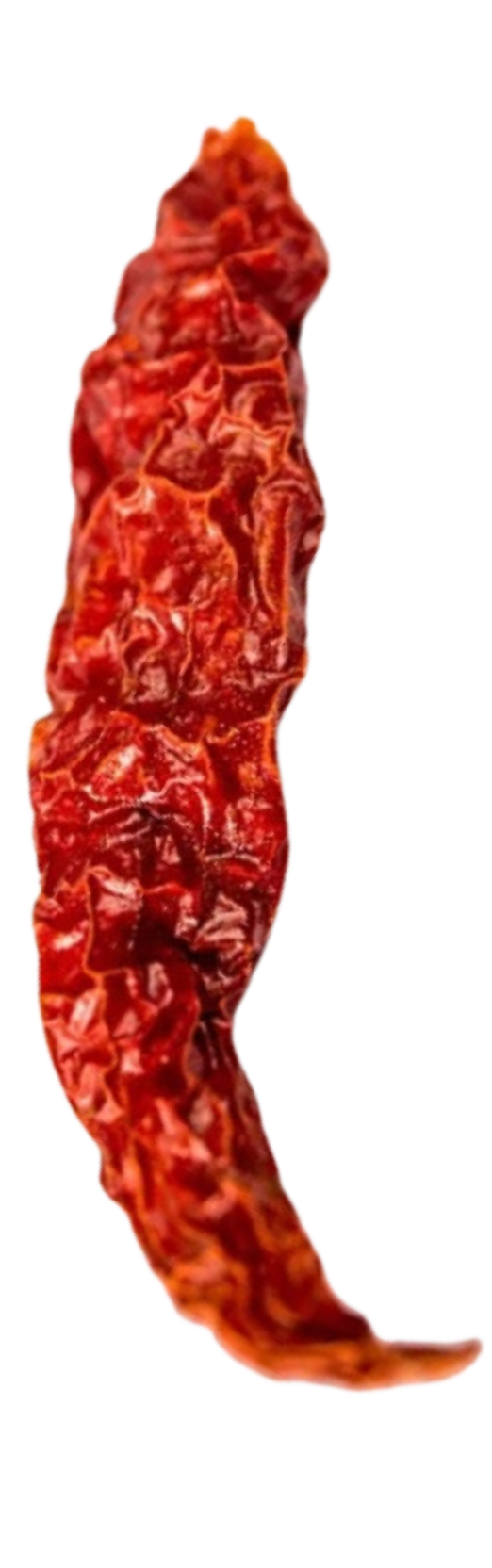 byadgi Single Chilli