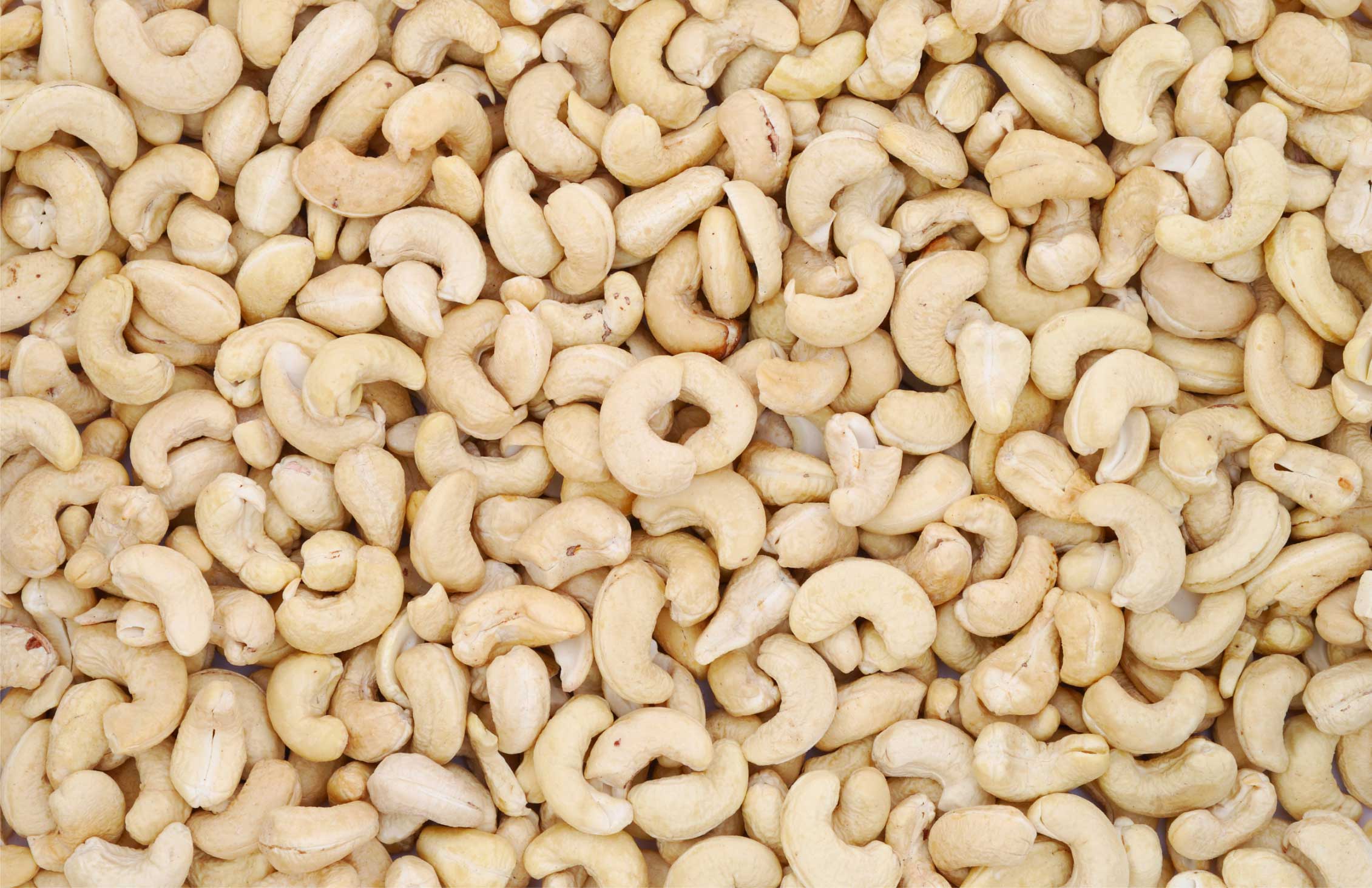 CASHEW-NUT