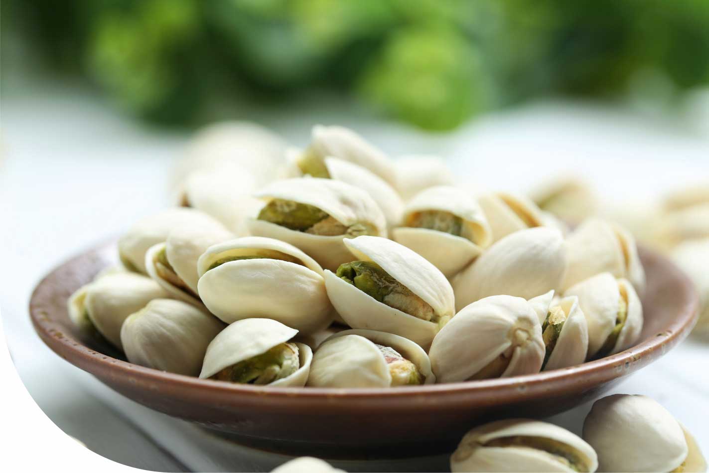 PISTACHIO