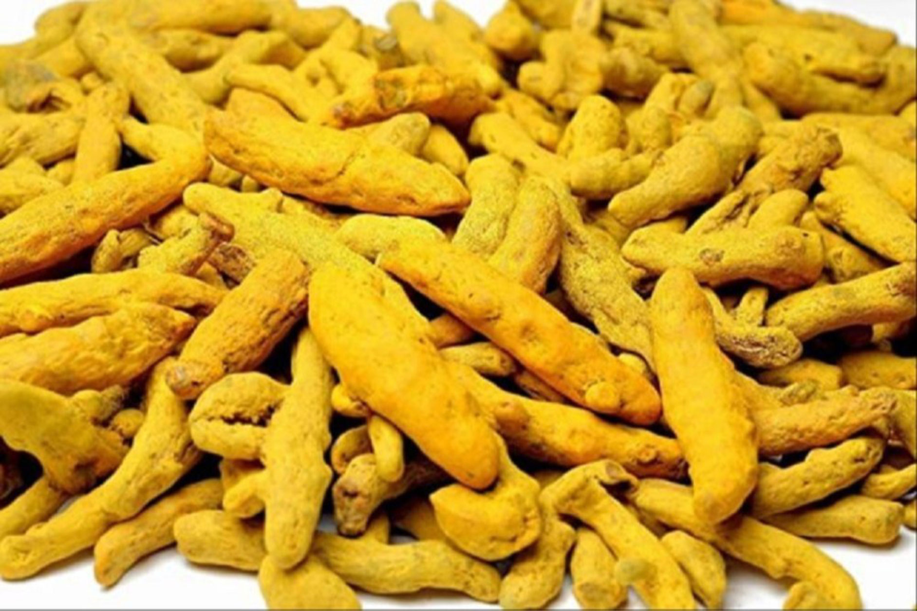 TURMERIC